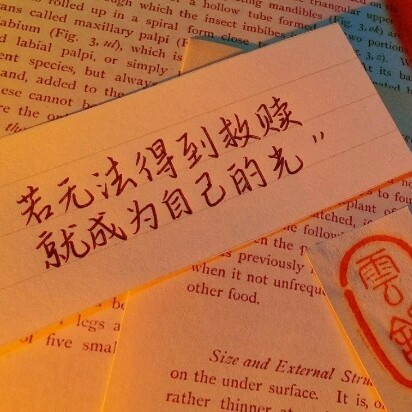 个人语录
