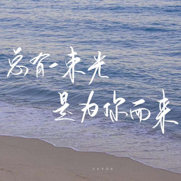 摘抄