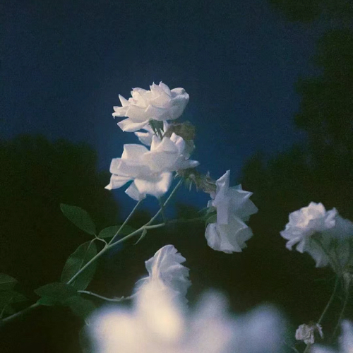 克莱因的蓝