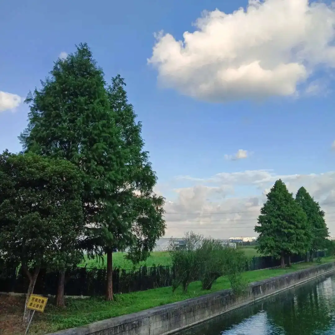玻璃晴朗，橘子辉煌