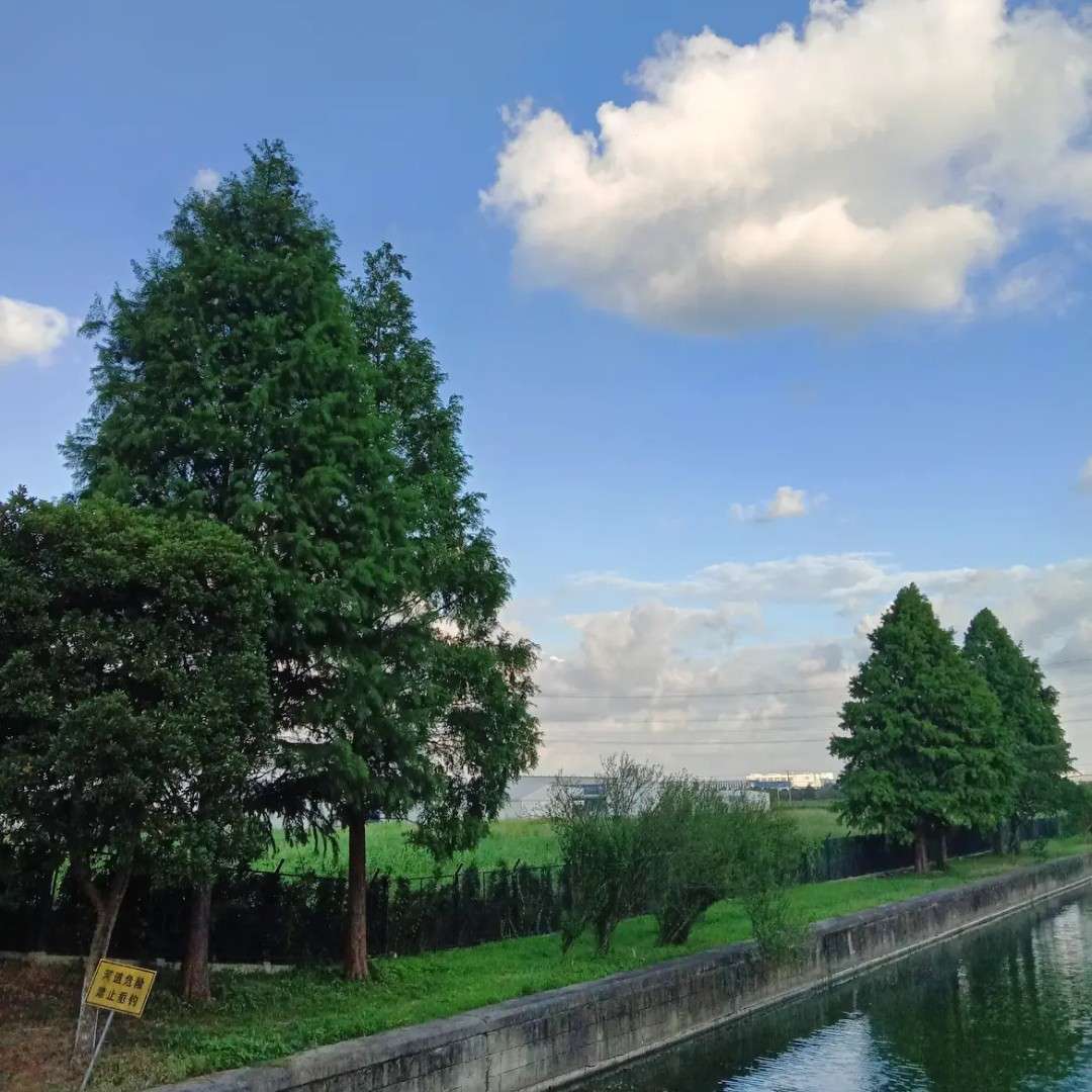 玻璃晴朗，橘子辉煌