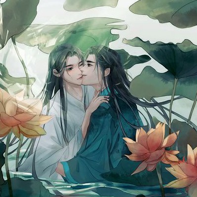 二哈与白猫
