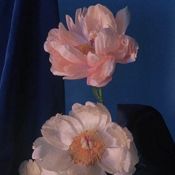 作文素材