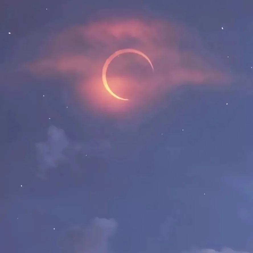 白月光
