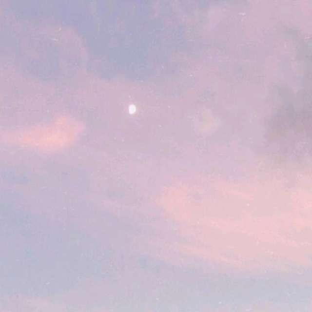 腐文案