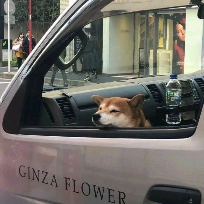 闲谈