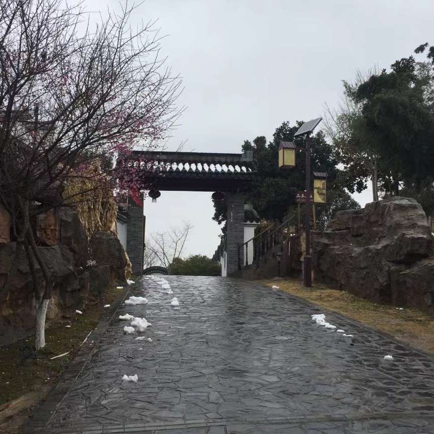 哲学