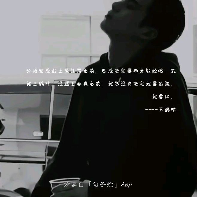 王鹤棣文案