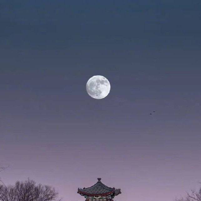 杂