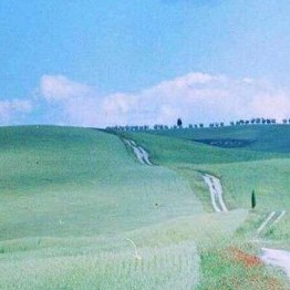 作文素材