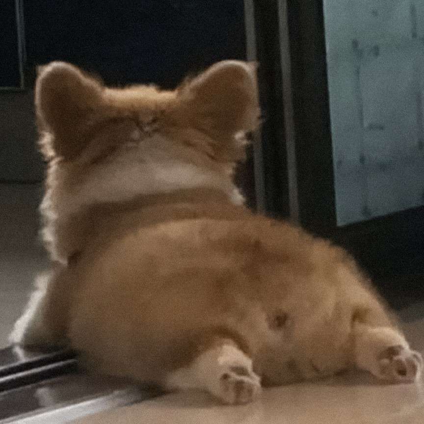 小王子的专辑