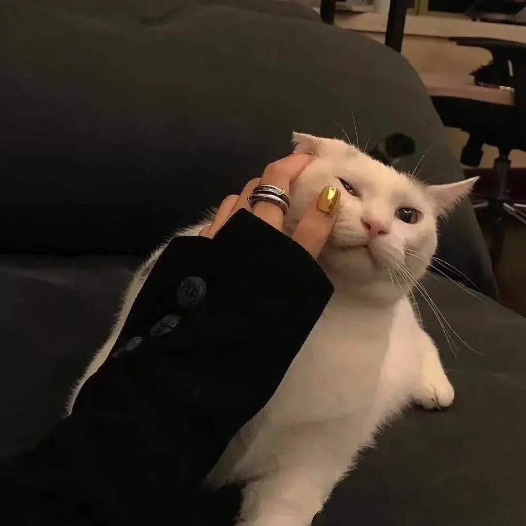 Despais的专辑