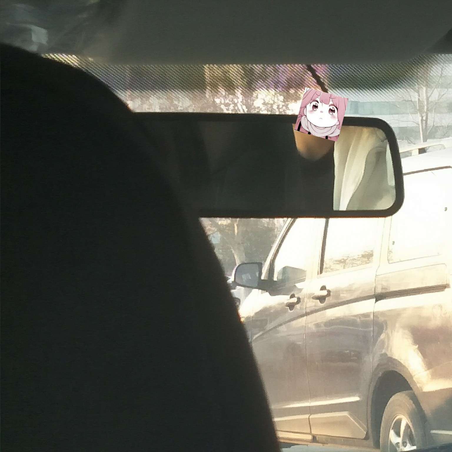 小说。