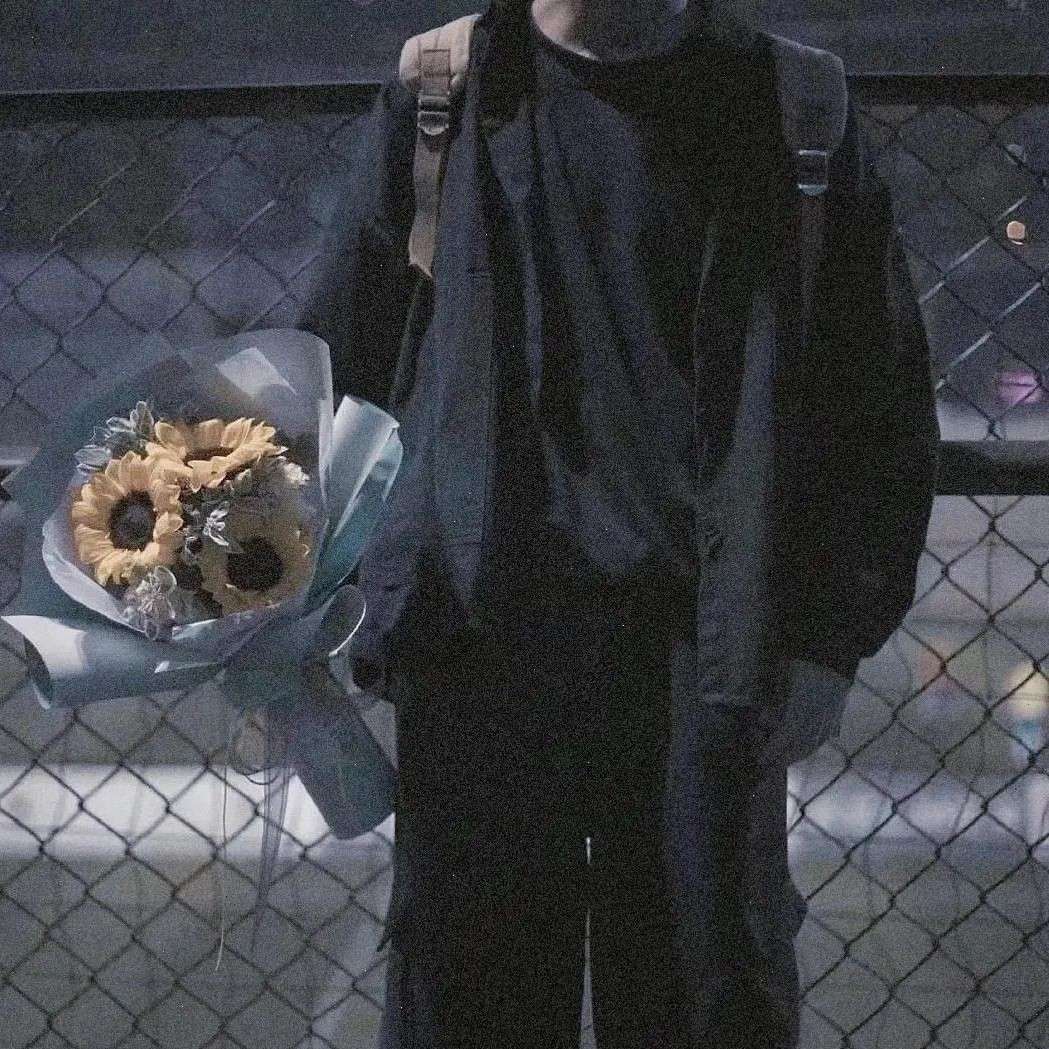 枫🍁