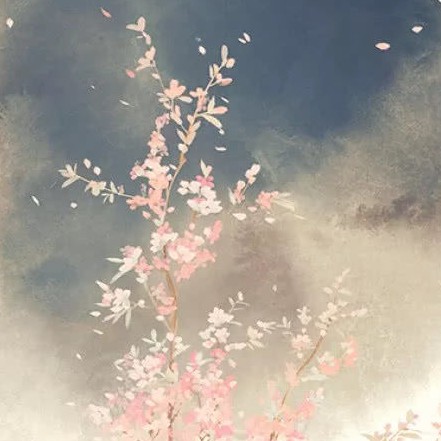 楼.月’