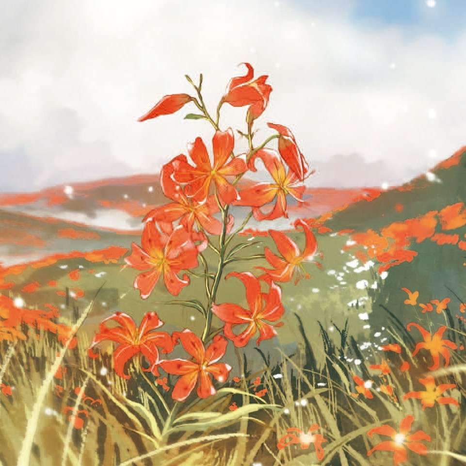 涤生的专辑