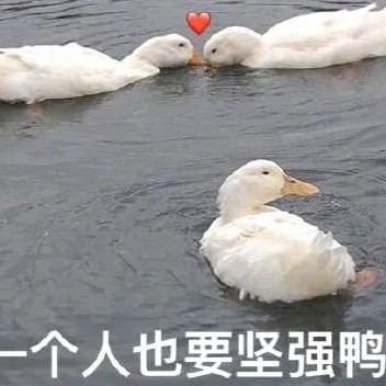 小孩子不会说情话啦