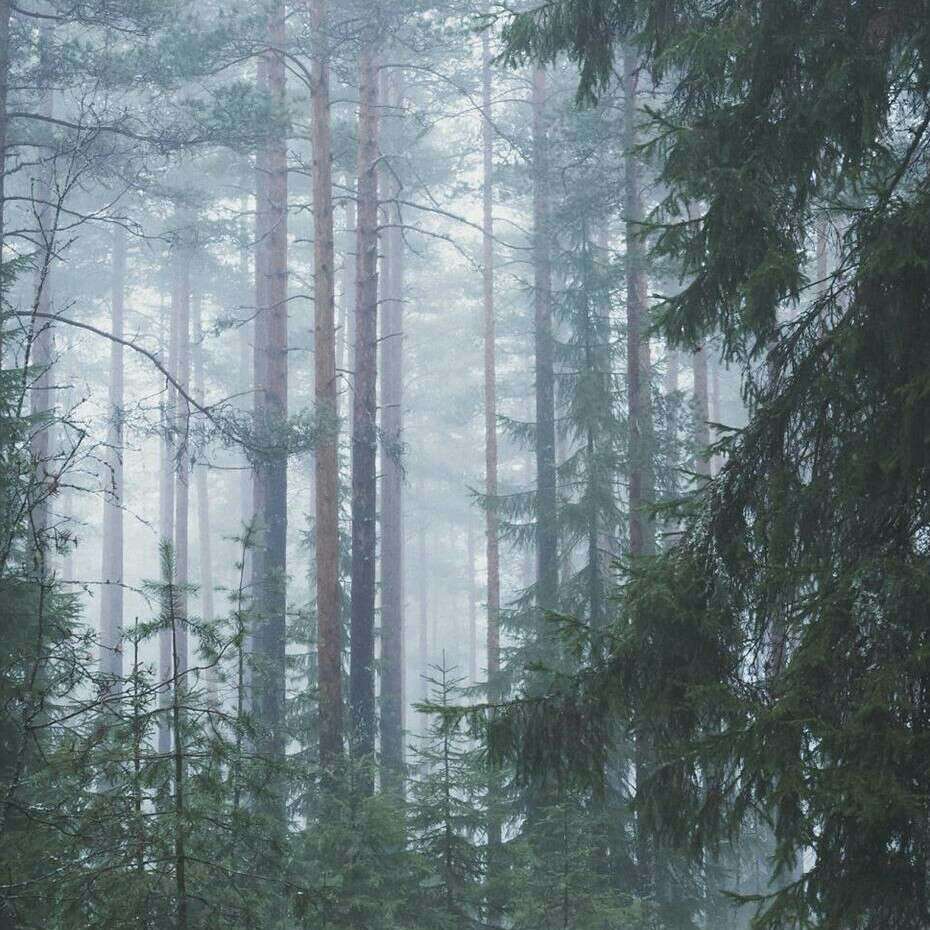 melancholy✞