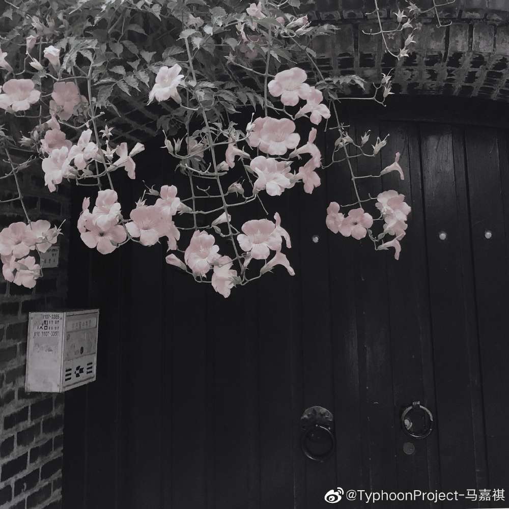 我的少年