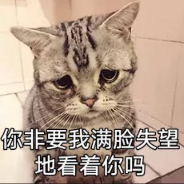 不许人间见白头的专辑