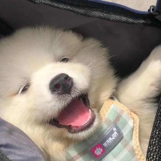 哈哈哈哈