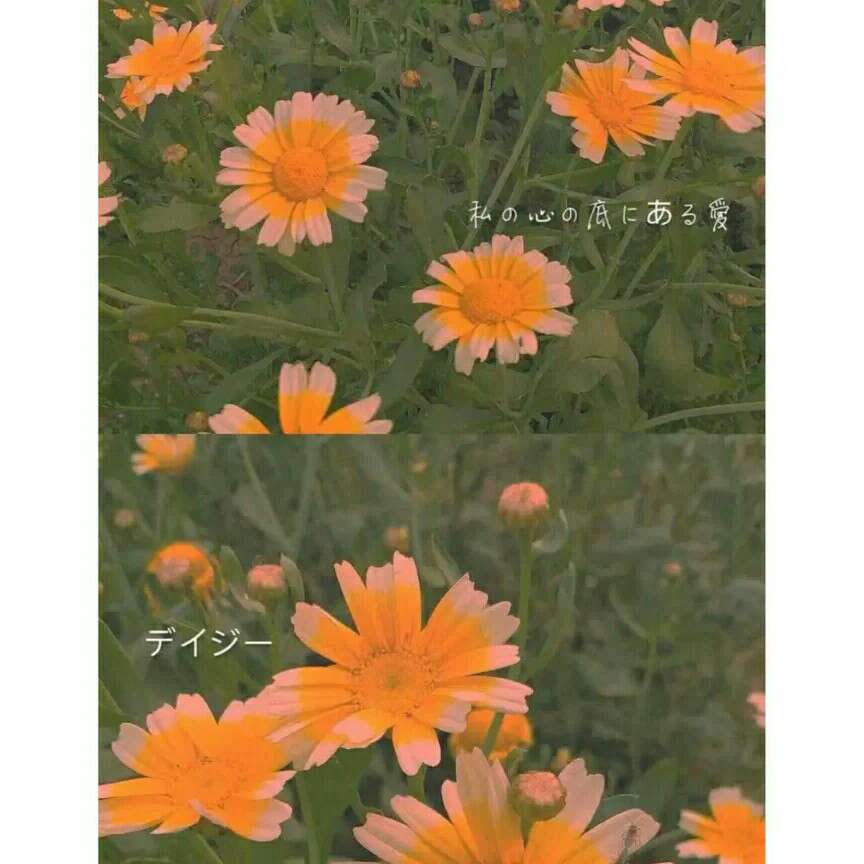 励志文案