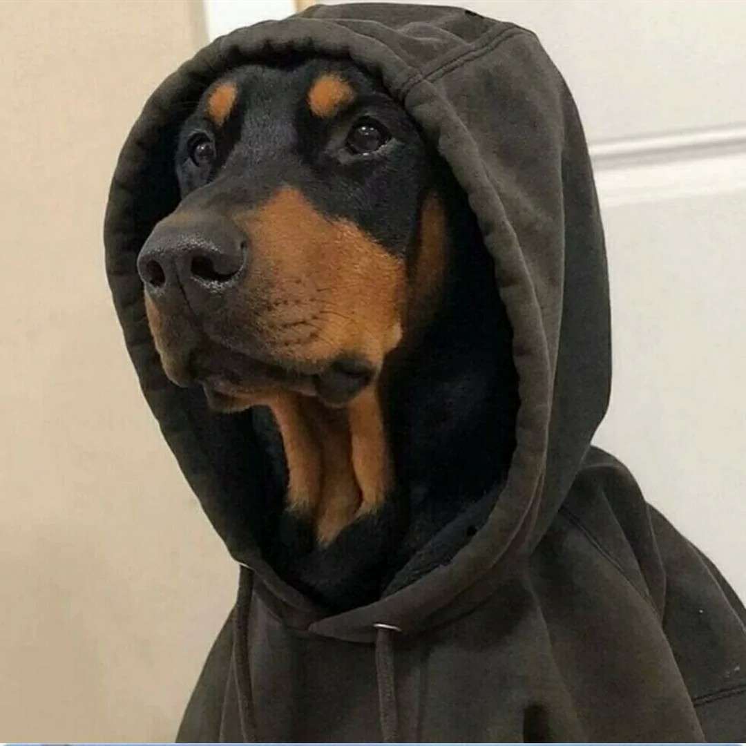 爱