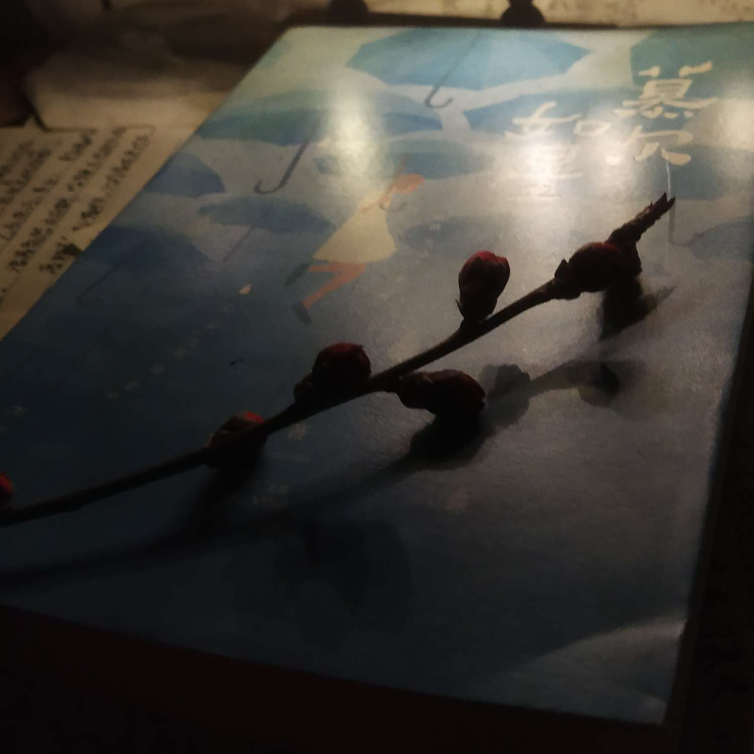 《慕尔如星》