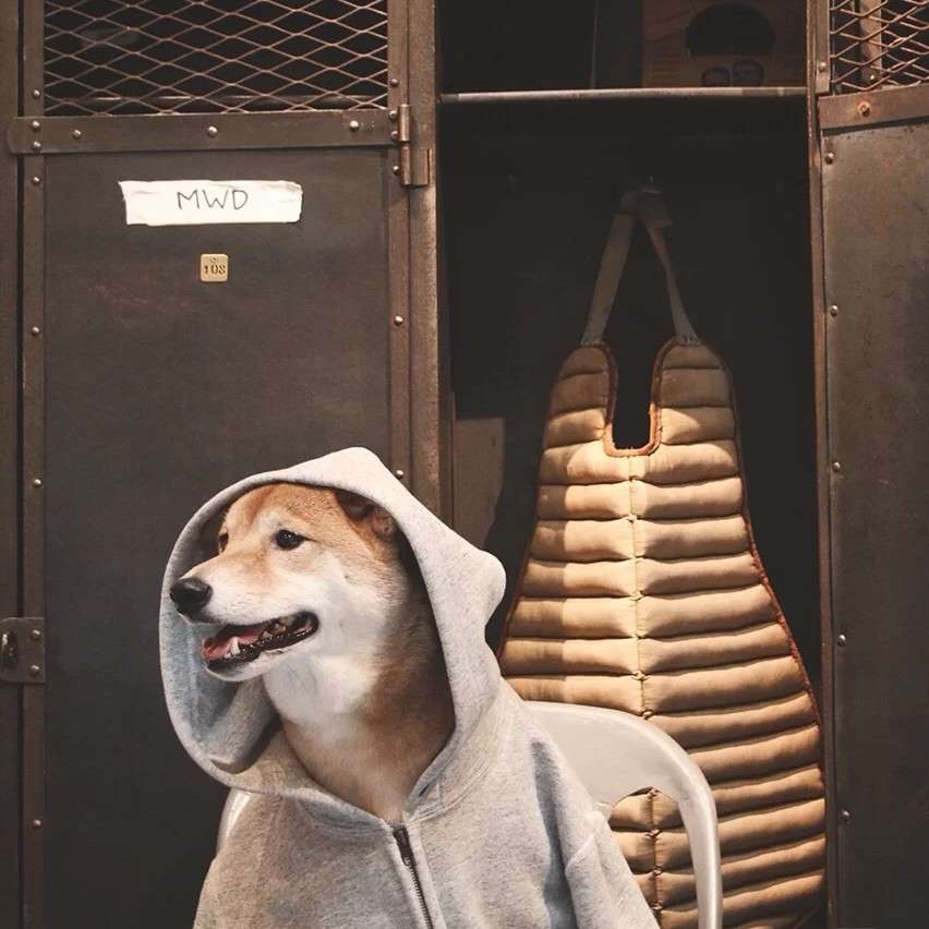 荐熙的专辑