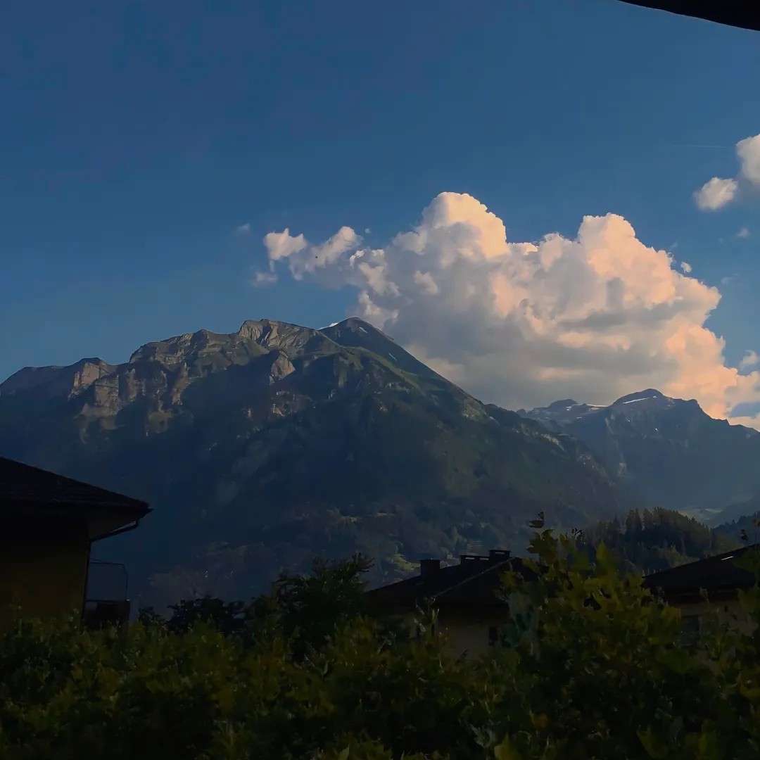 风景