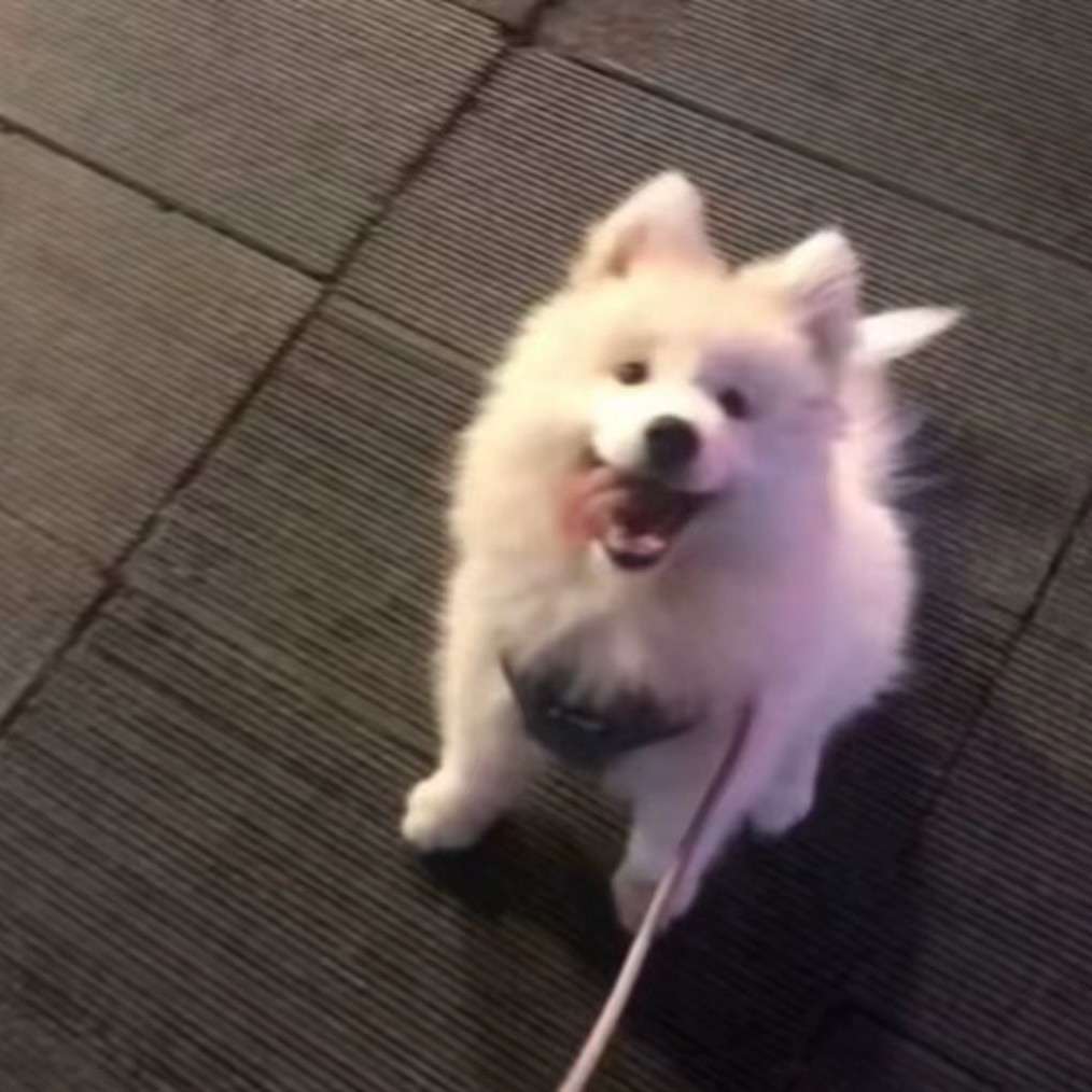 不内耗
