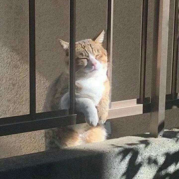向阳