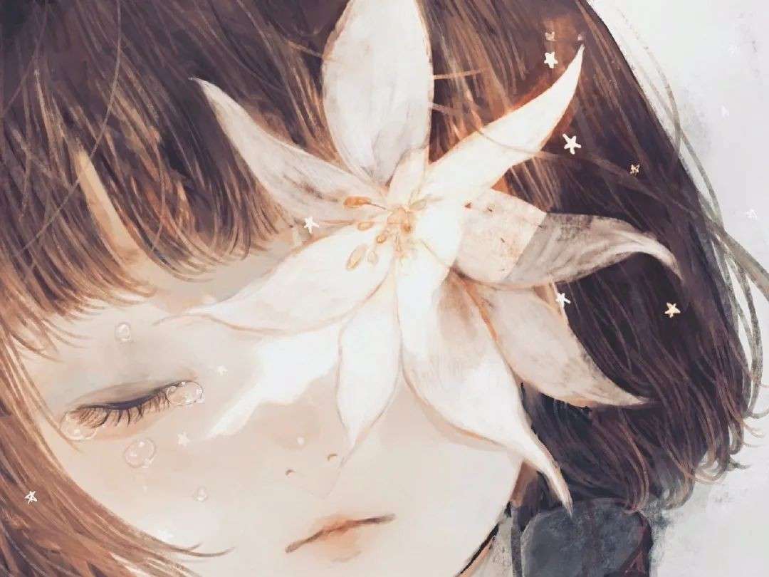 你喜欢的小说角色的描写