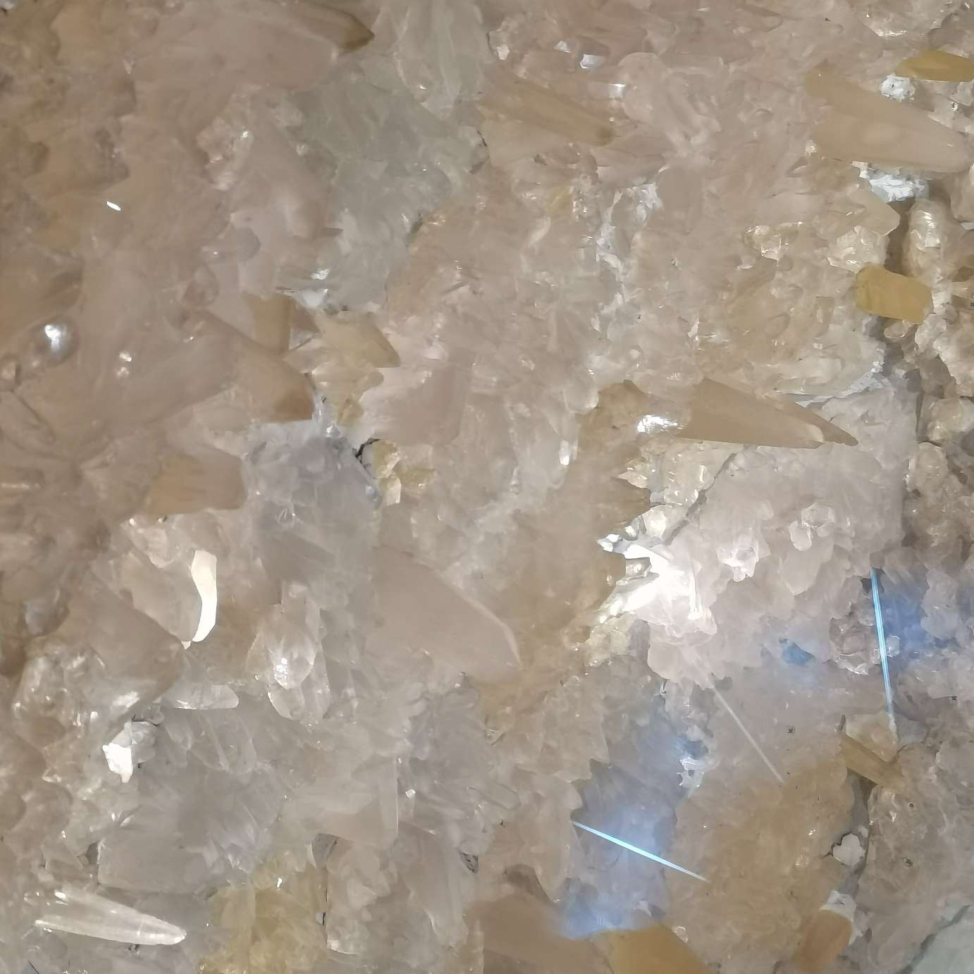 憨憨的上传