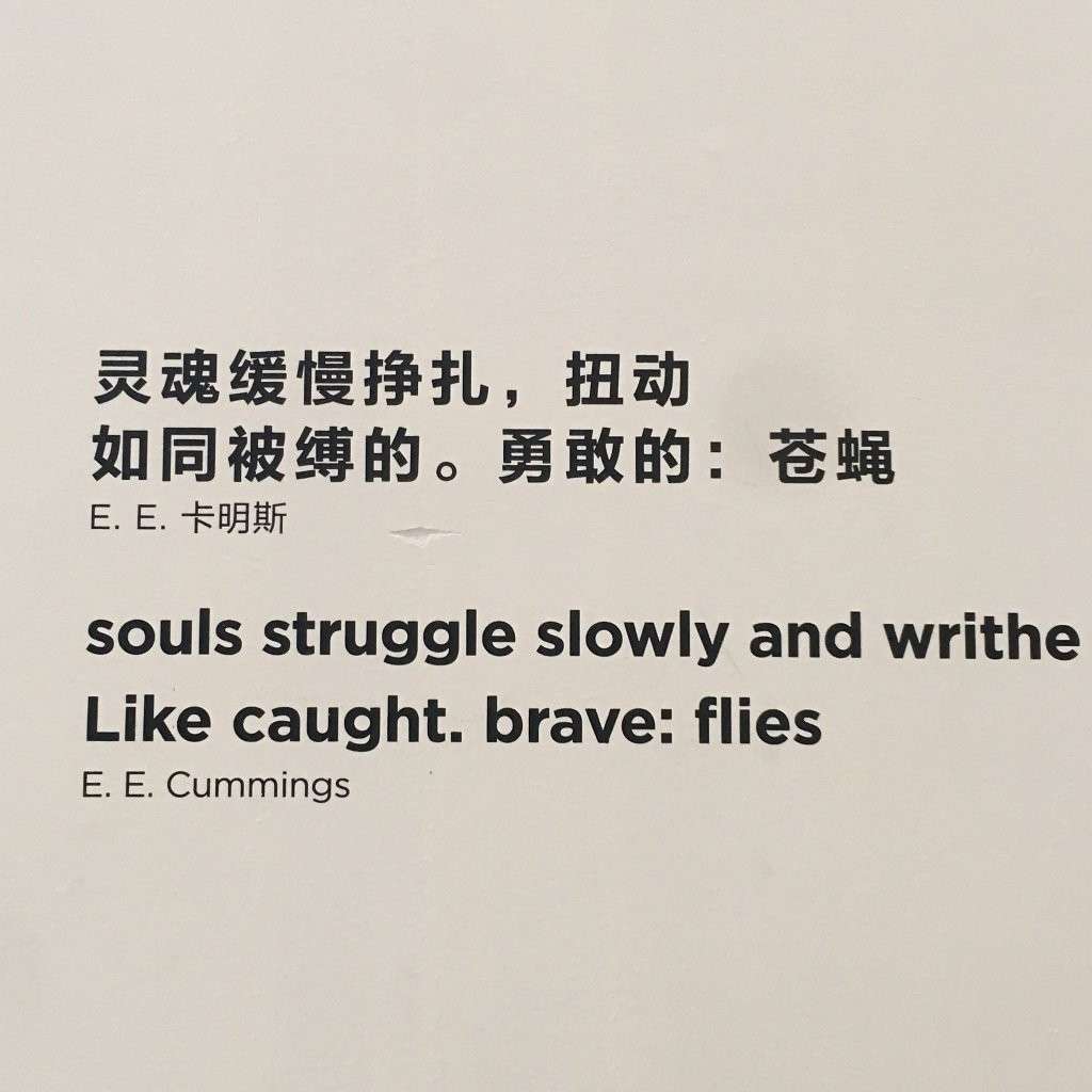 氵木的专辑
