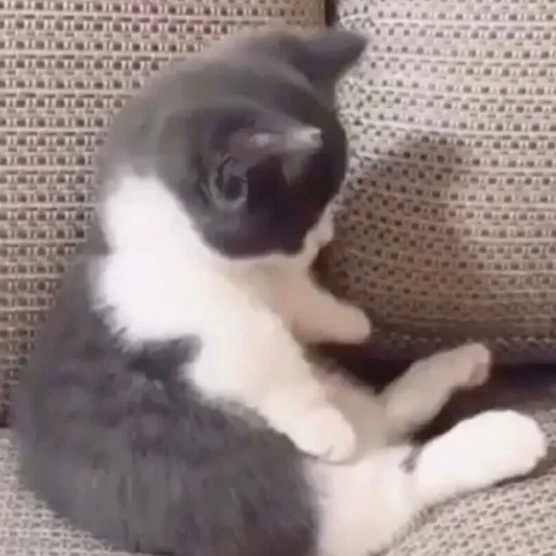 散