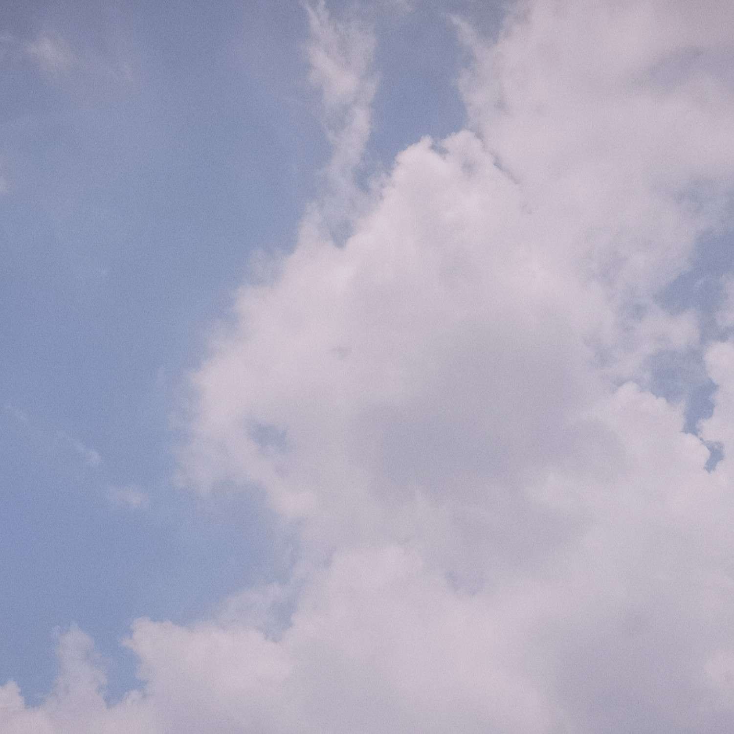 。。的专辑