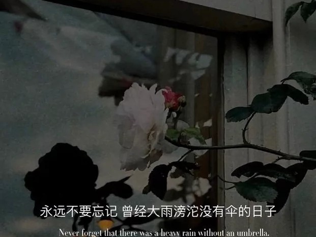 母亲节文案
