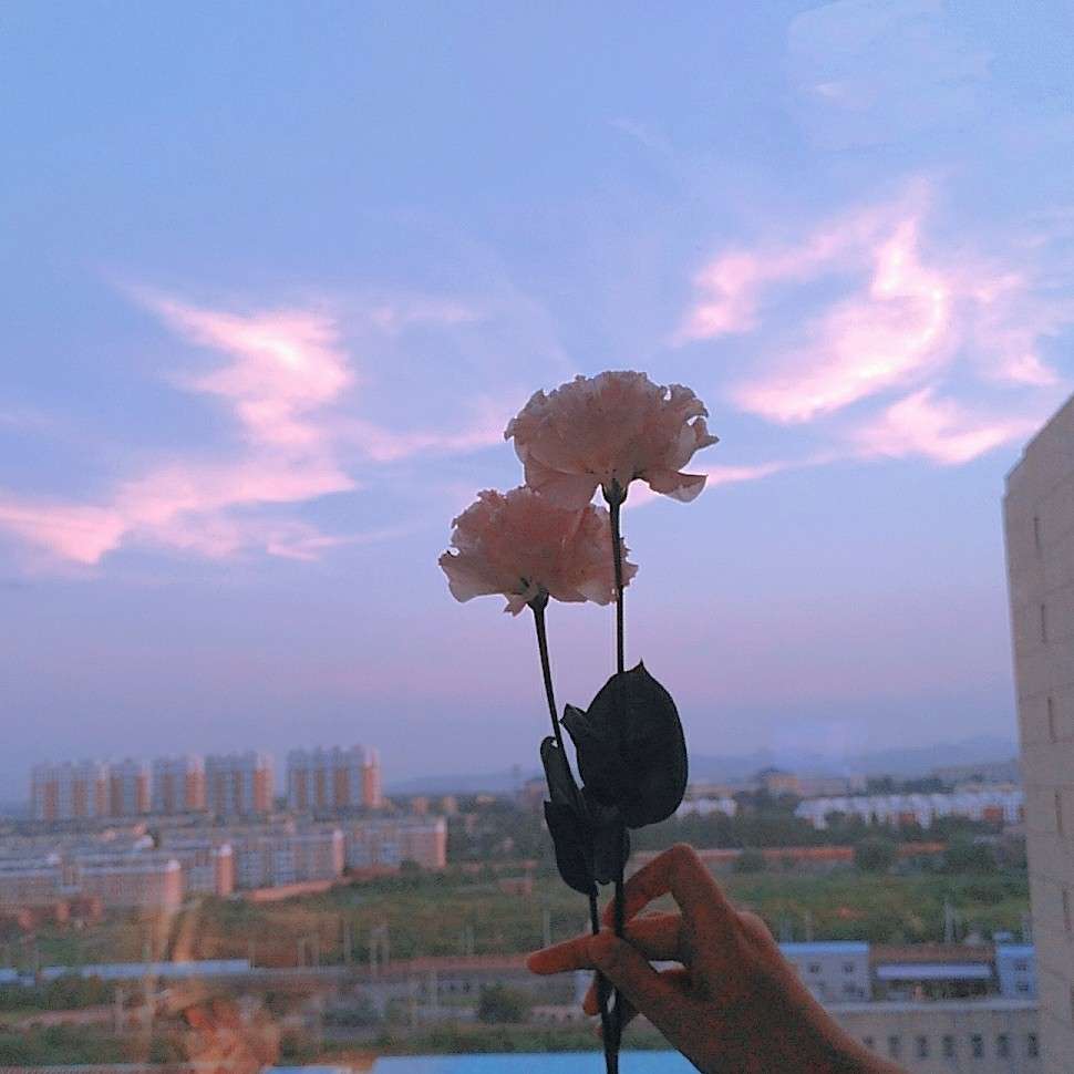 治愈系暖音