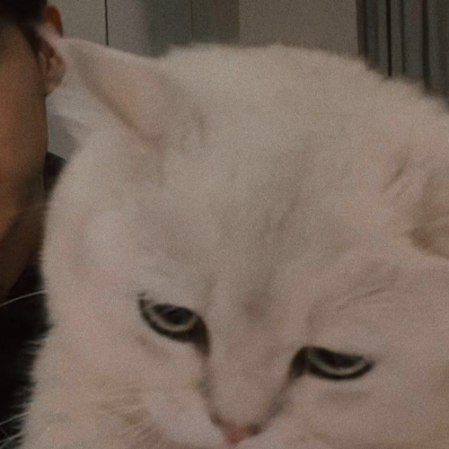 句