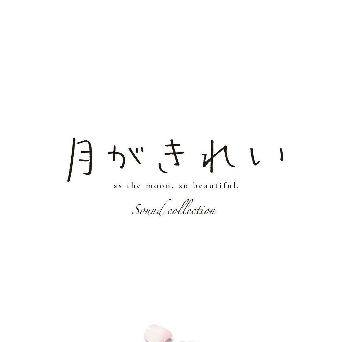 ꧁༺阔若༻꧂的专辑