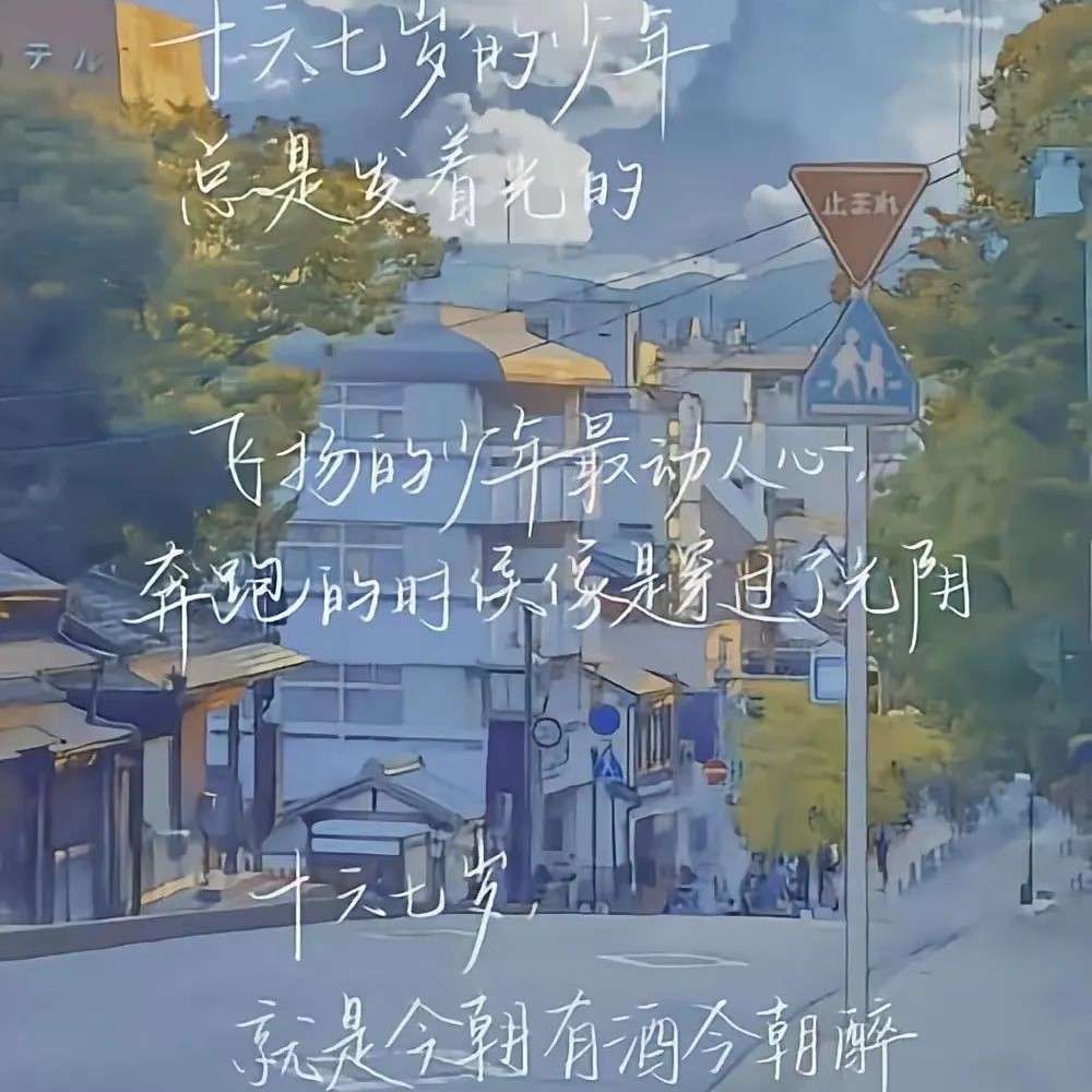 金句❤❤❤
