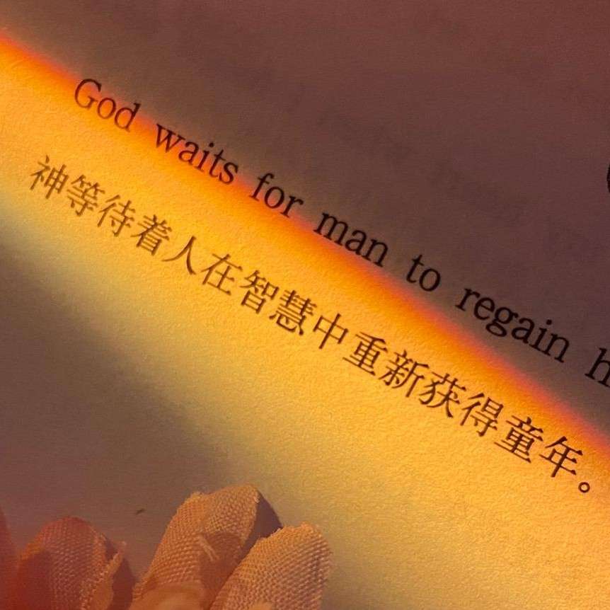 向阳而生