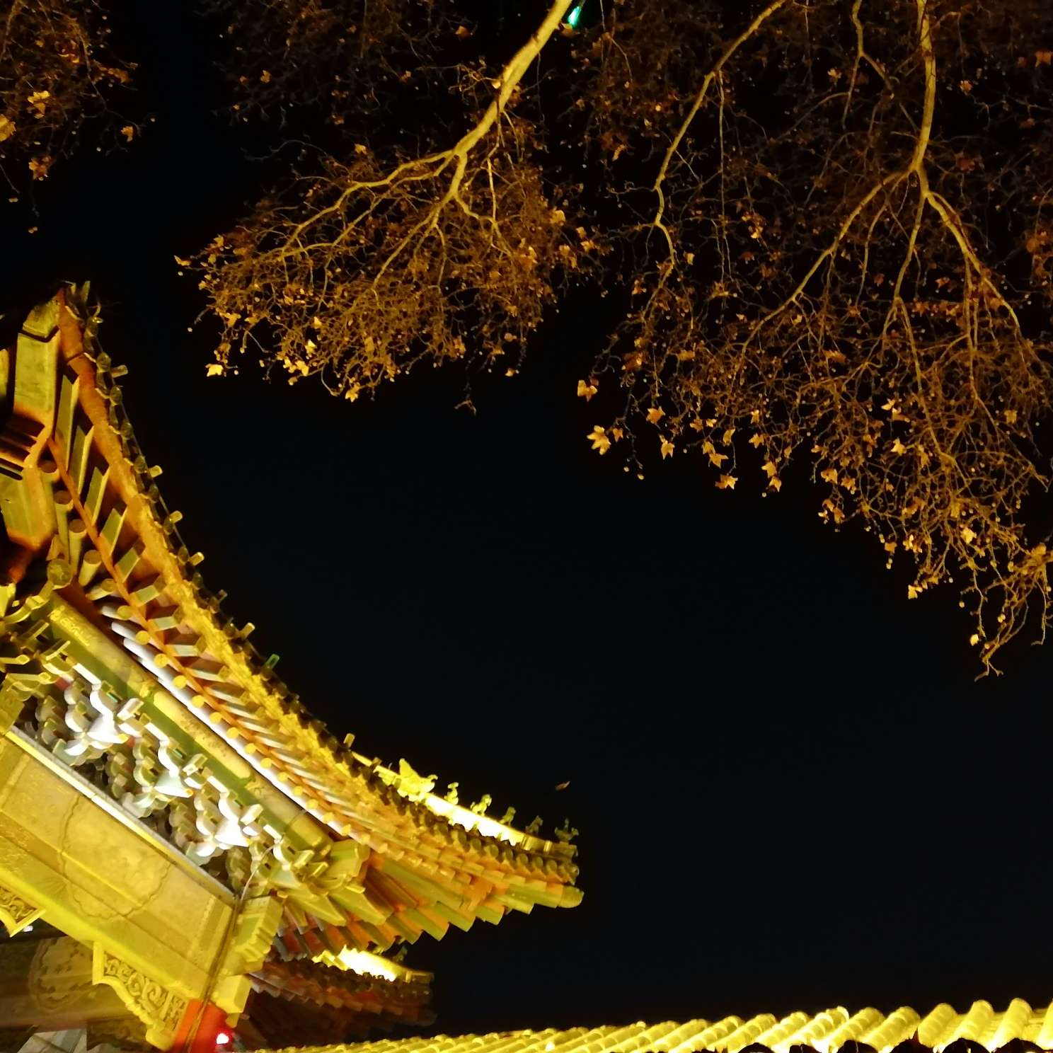 温柔
