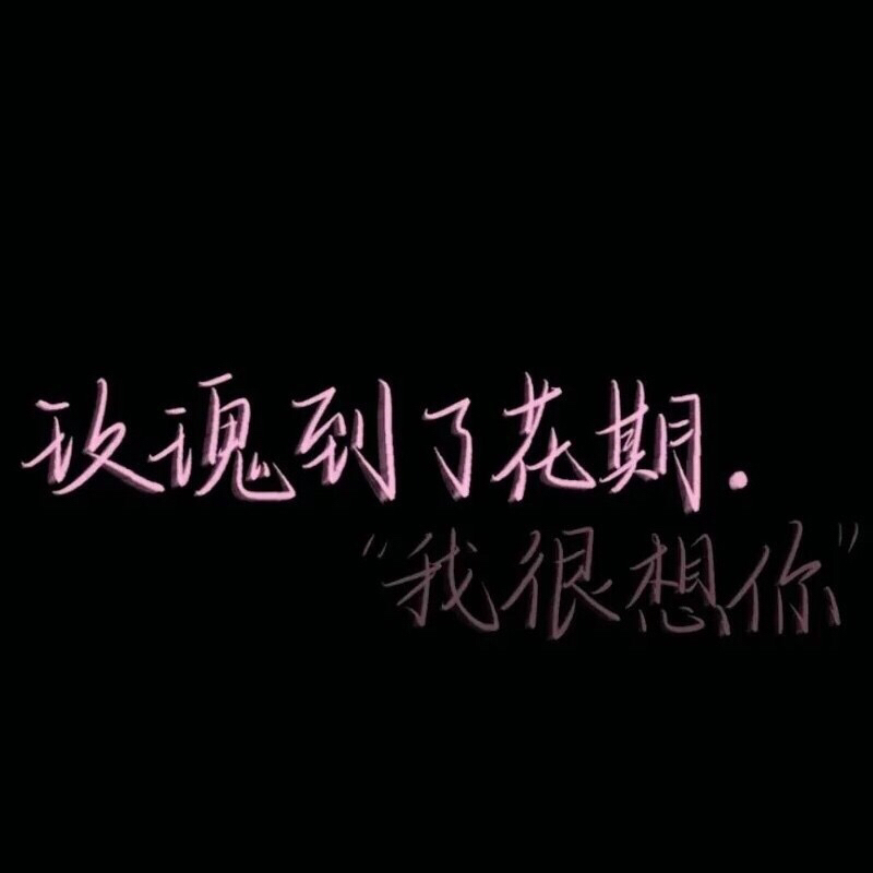 小说