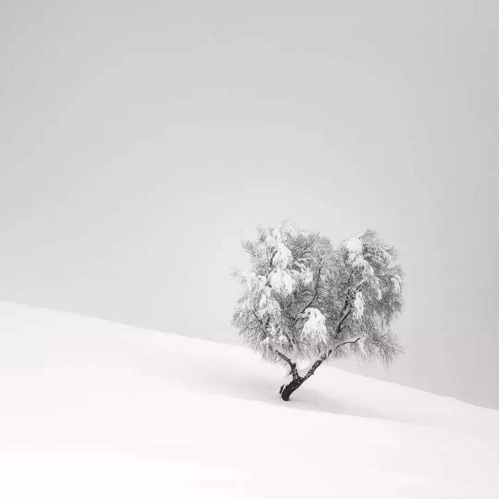 小马过河