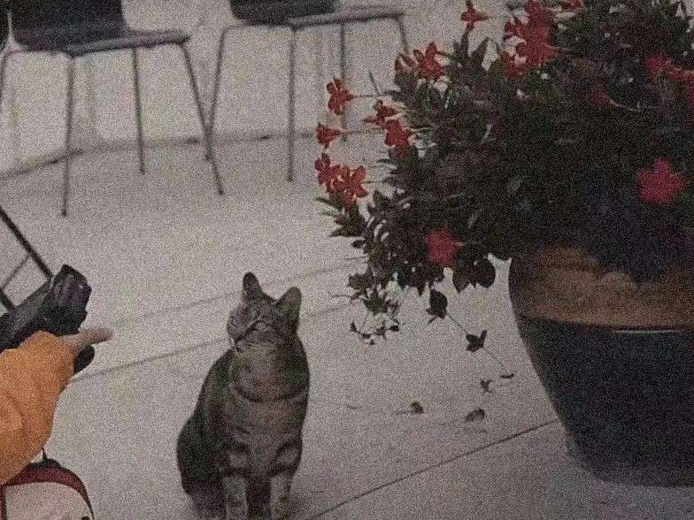 摘抄