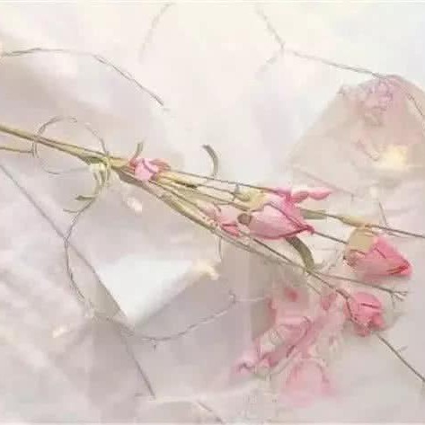 四号花店