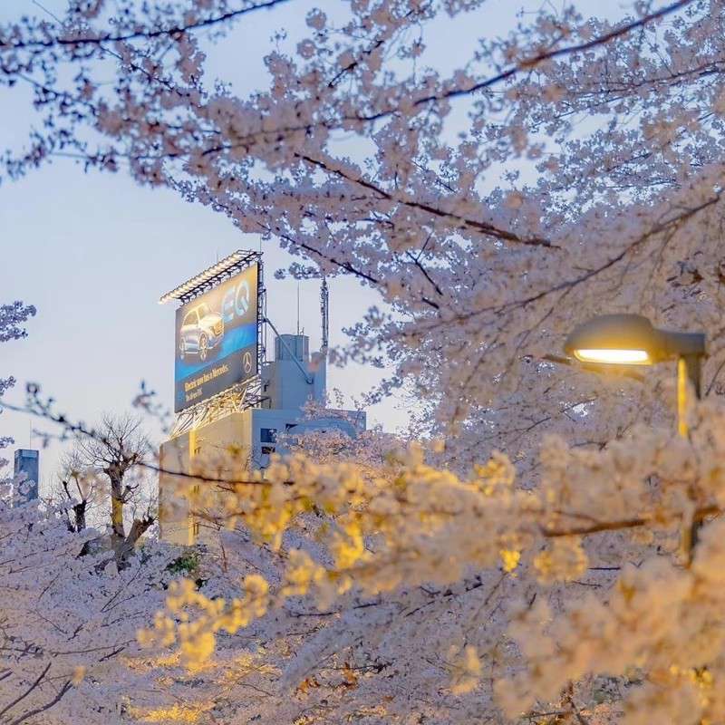 江宁夏的专辑