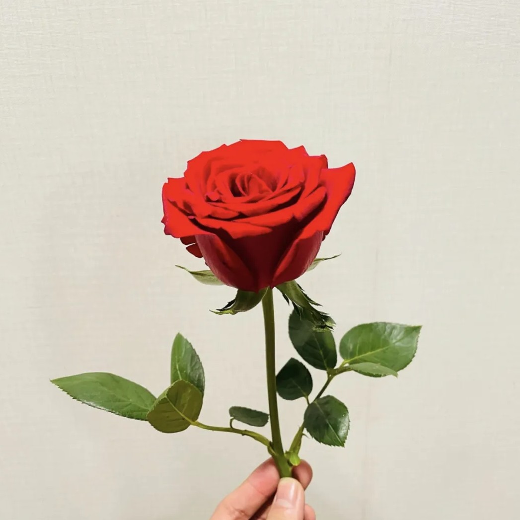 《战虾》
